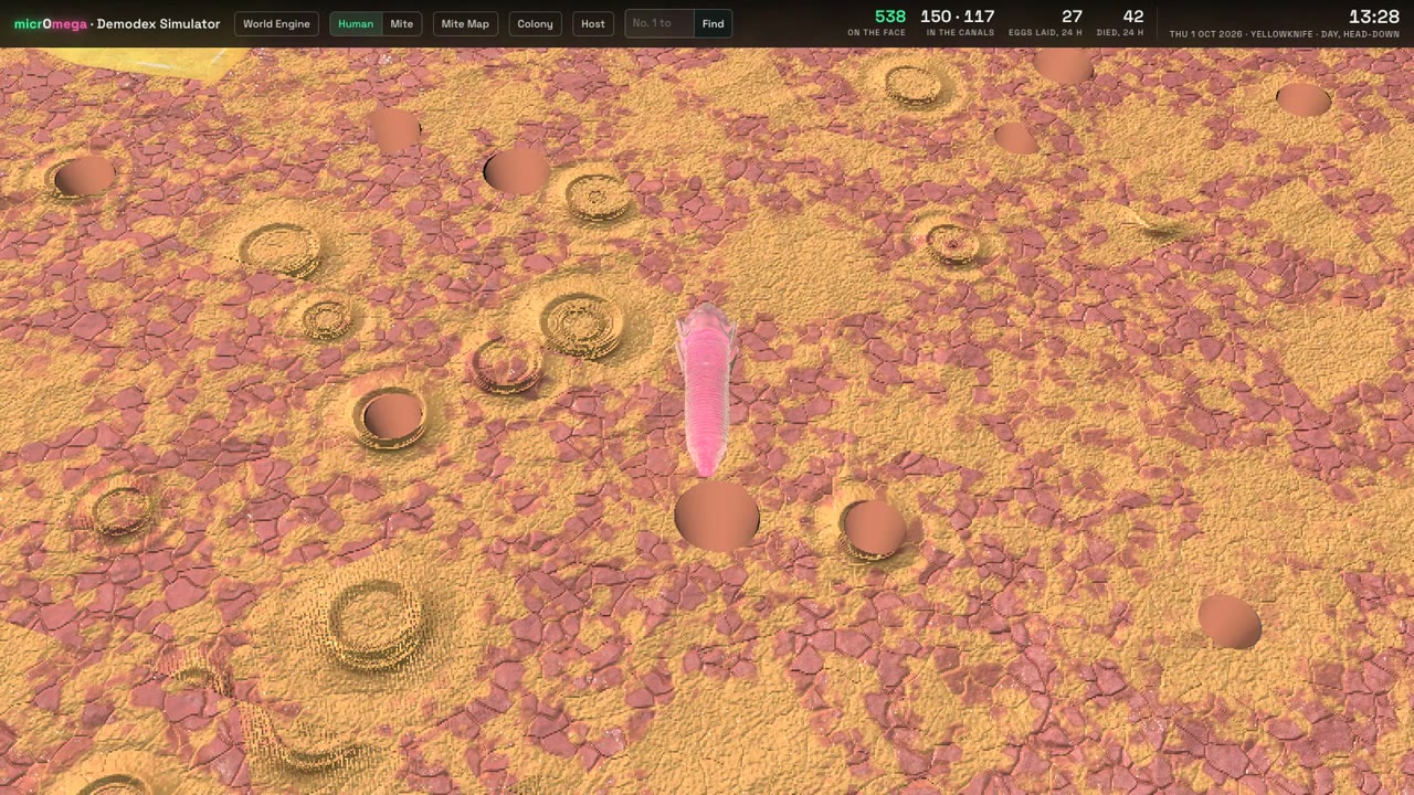 Demodex Simulator gameplay: a mite walking the skin surface and laying its own trail